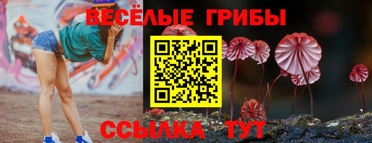 Галлюциногенные грибы Cubensis Кохма